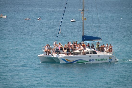 eden catamaran